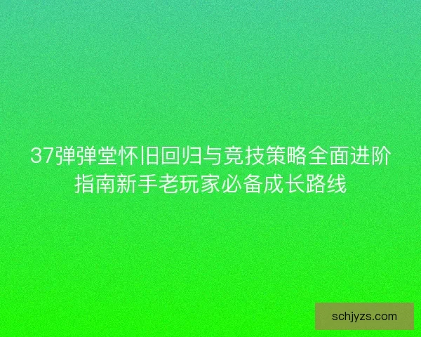 37弹弹堂怀旧回归与竞技策略全面进阶指南新手老玩家必备成长路线